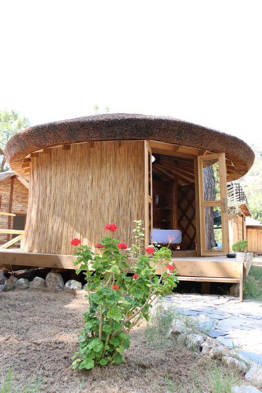 Chakra Beach Kabak Фаралия Екстериор снимка