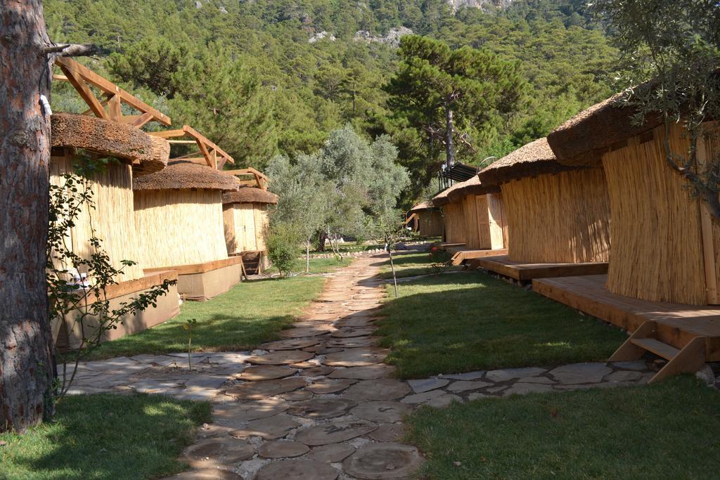 Chakra Beach Kabak Фаралия Екстериор снимка